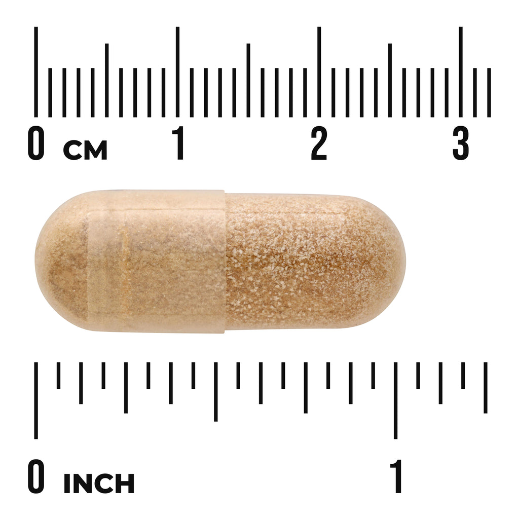SW1166 | Capsule size shown against rulers in cm and inches, approx 1 inch long - Thumbnail