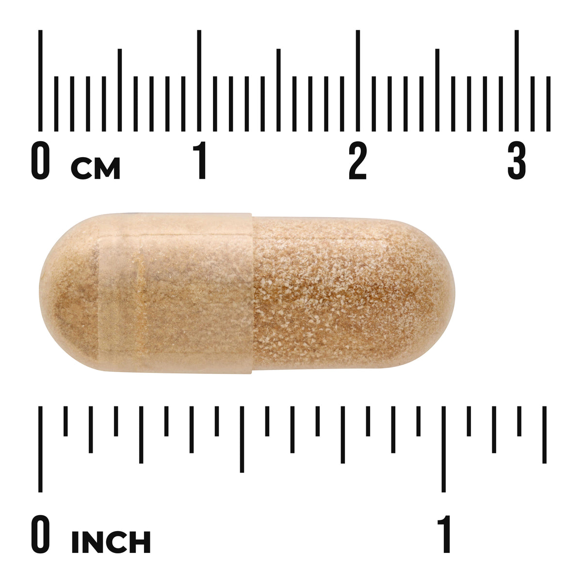 SW1166 | Capsule size shown against rulers in cm and inches, approx 1 inch long