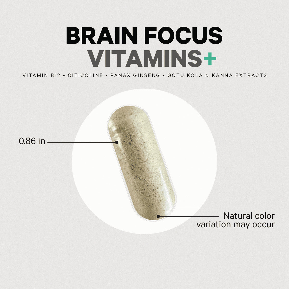 CDG032 | product infographic showing Brain Focus Vitamins beige capsule 0.86 in with natural color variation may occur