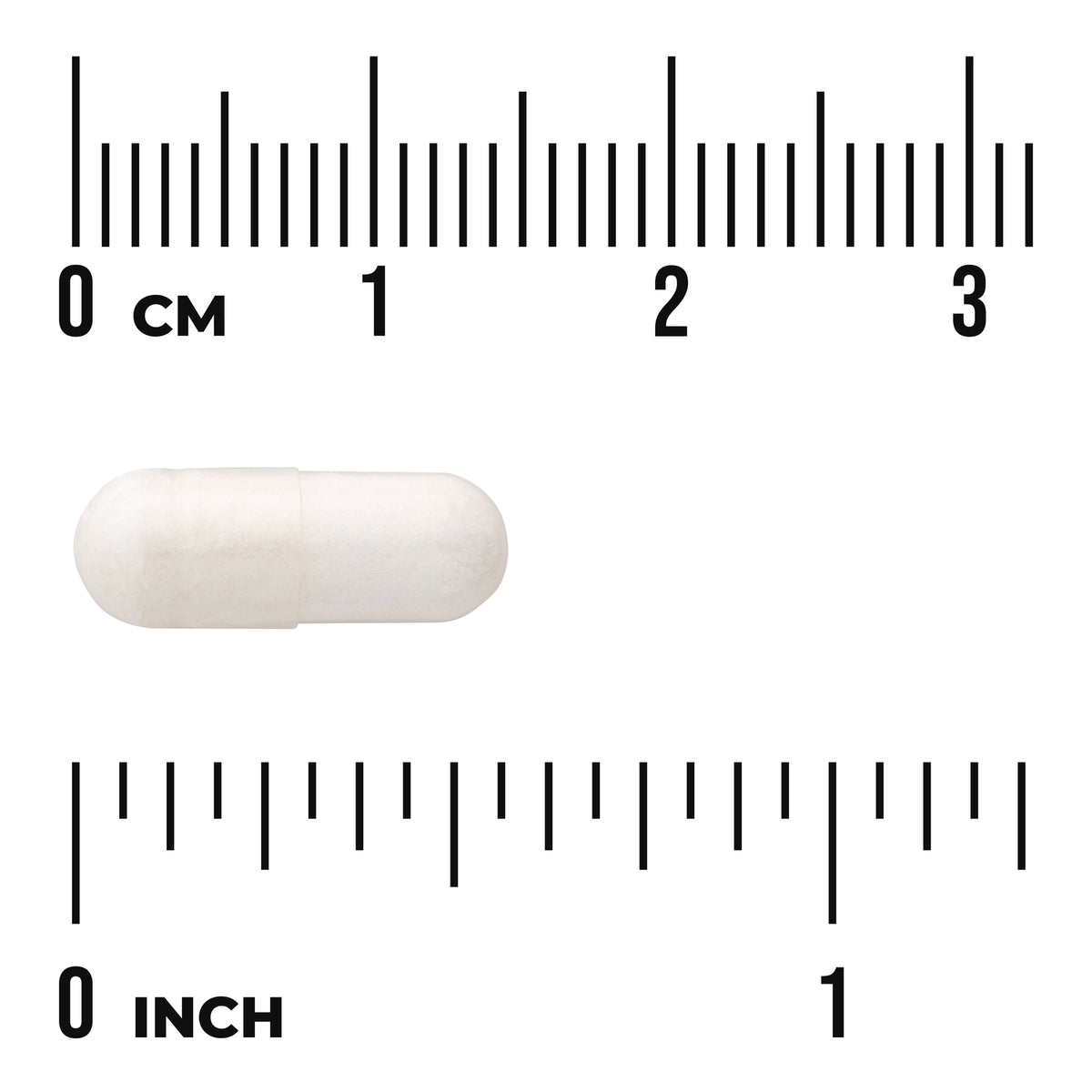 SWU1028 | White capsule next to centimeter and inch rulers for size reference