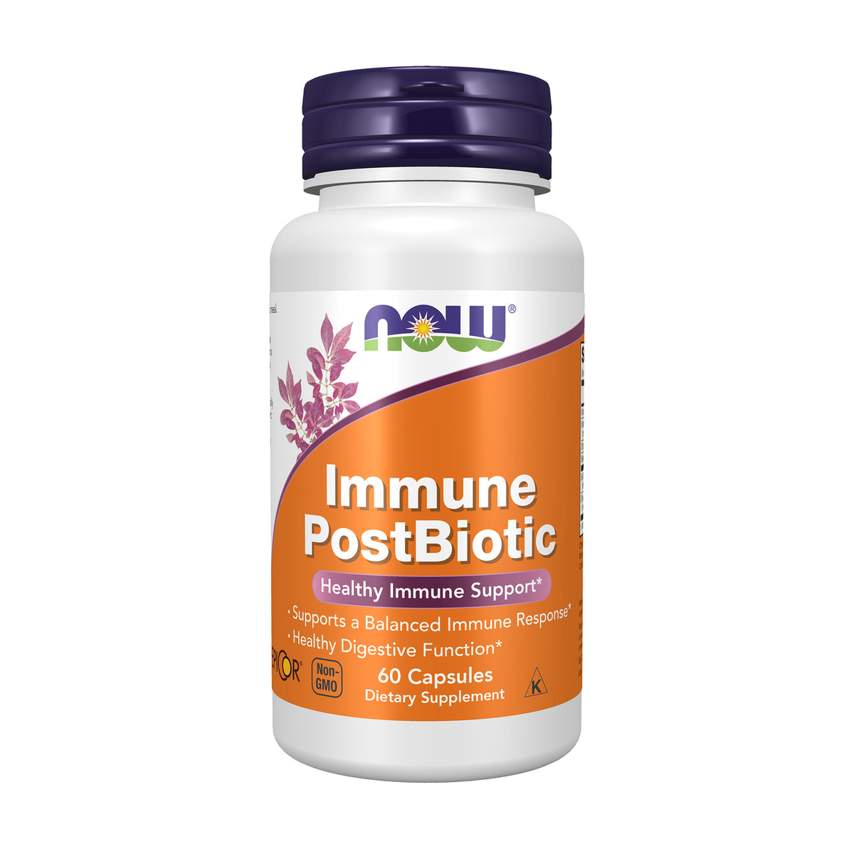 NWF946 | NOW EpiCor Plus Immunity bottle, 60 veg capsules, orange front label