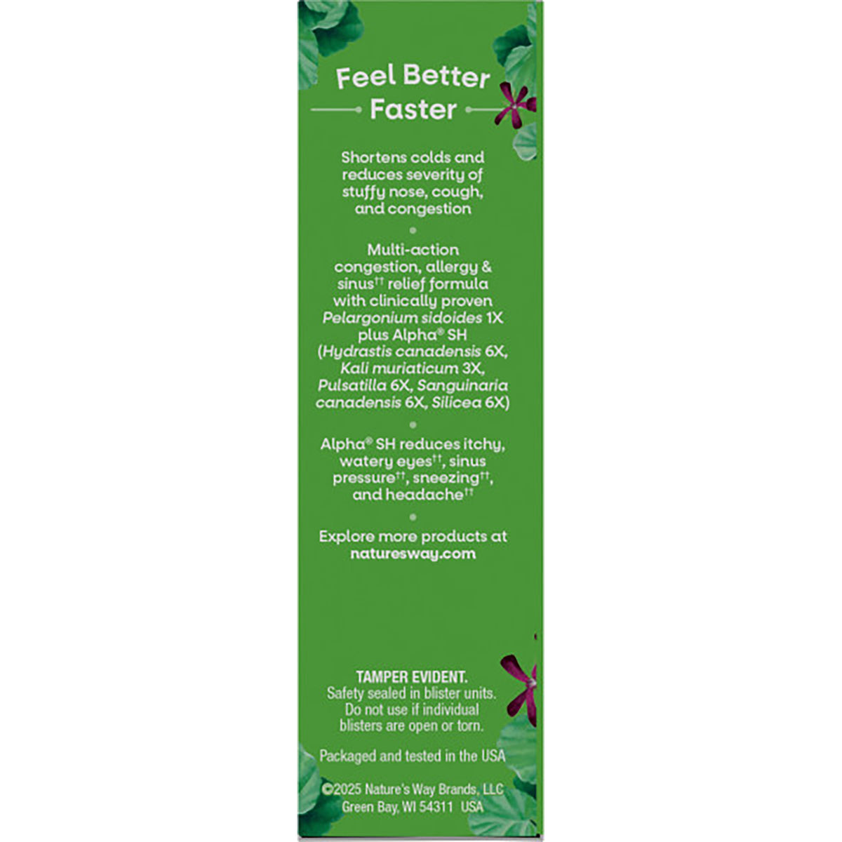 NW1053 | Back panel of Allergy + Sinus Relief box showing product claims, Pelargonium sidoides 1X and NATURESWAY.COM