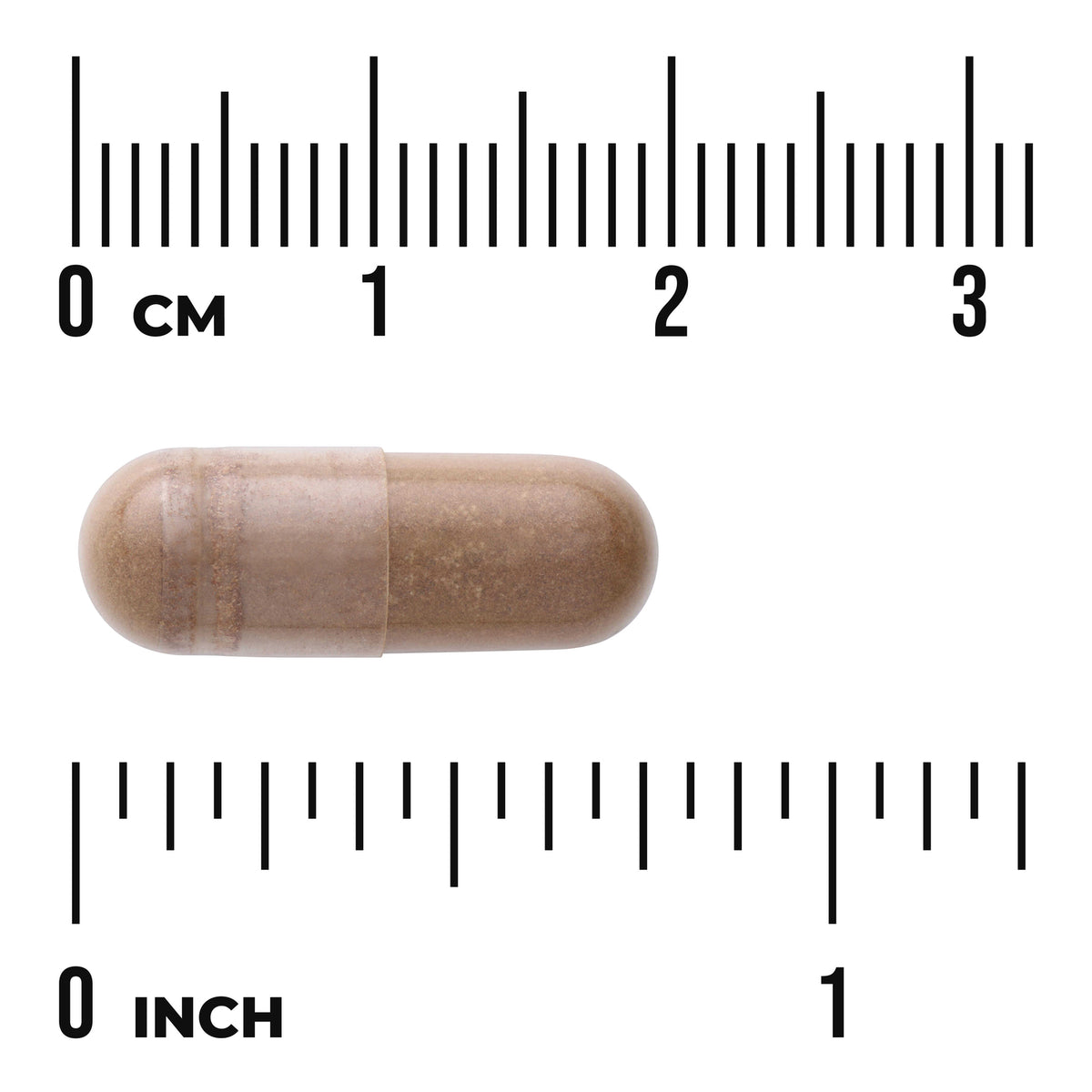 SWU248 | Brown gelatin capsule on rulers showing size with "0 cm" and "0 inch" markings