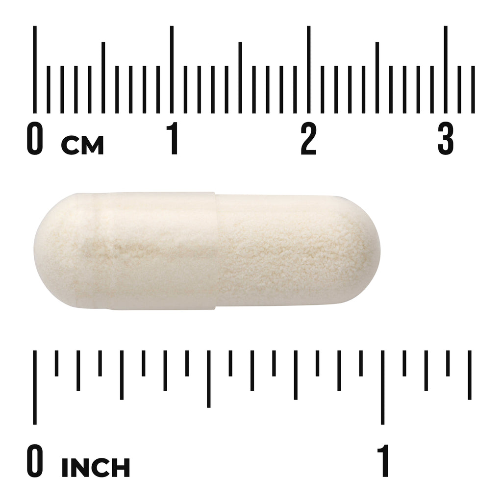 SWU149 | White capsule filled with powder centered on ruler showing centimeters and inches - Thumbnail