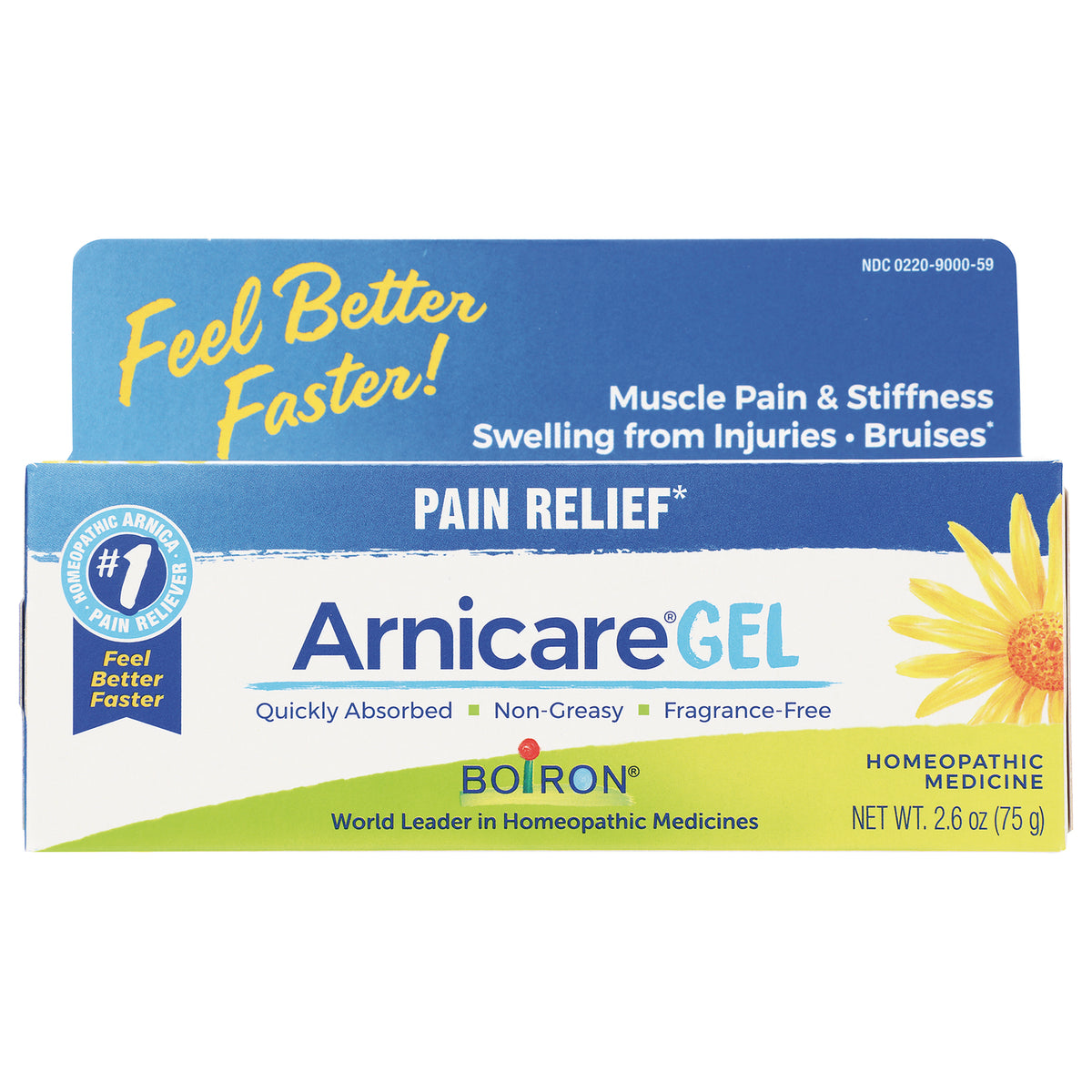BRN093 | Arnicare GEL box front showing brand name, PAIN RELIEF label, sunflower graphic and net wt 2.6 oz