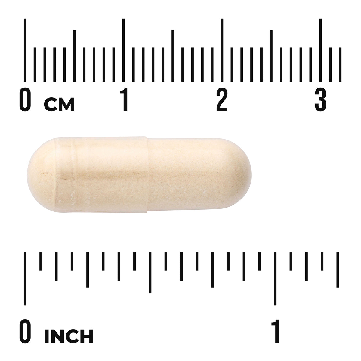SW1136 | Beige capsule shown with centimeter and inch rulers for size reference