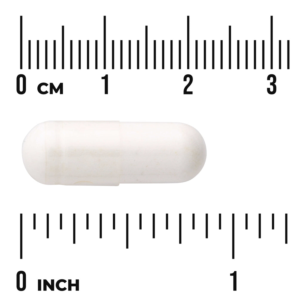 SW1298 | White capsule centered between centimeter and inch rulers showing size - Thumbnail