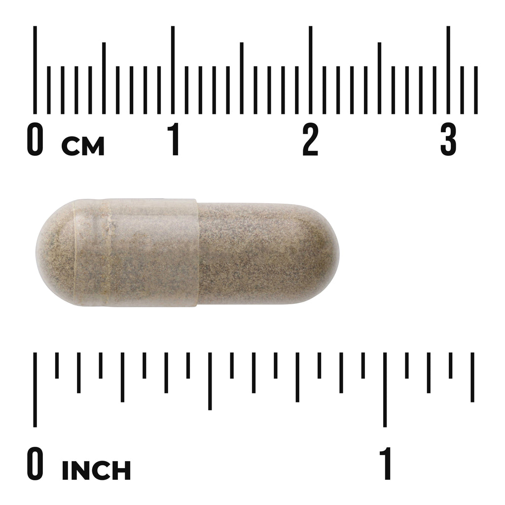 SWH144 | Brown capsule with size ruler showing centimeters and inches - Thumbnail