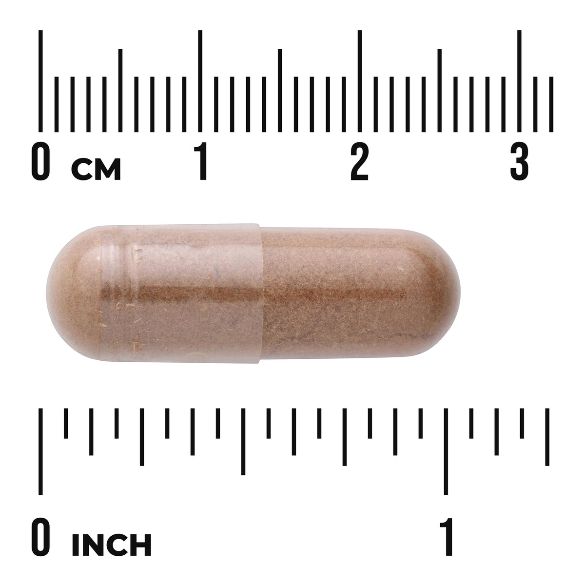 SW1356 | Brown powder-filled capsule on white background with centimeter and inch rulers showing size