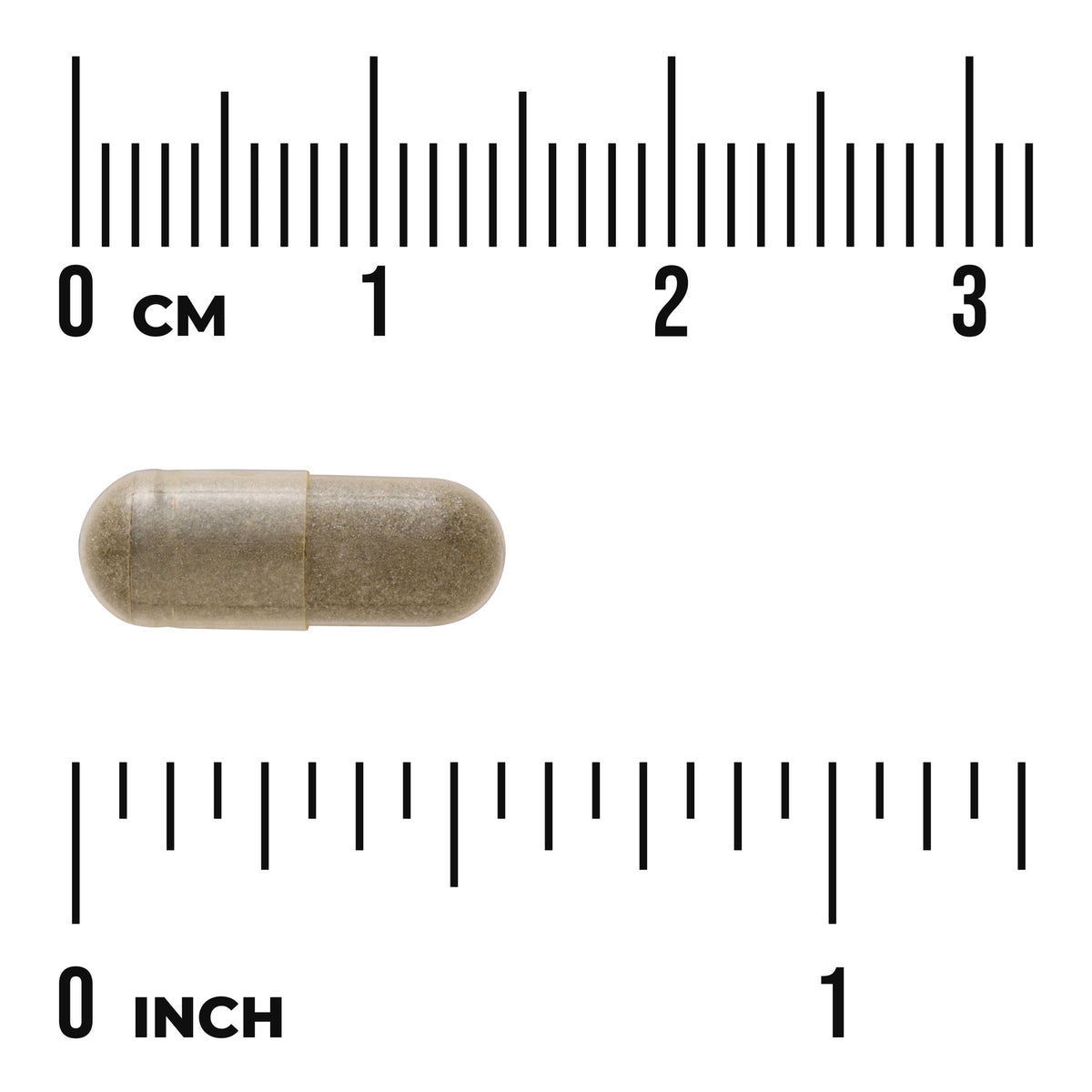 SWU076 | Capsule shown beside rulers for size reference in centimeters and inches
