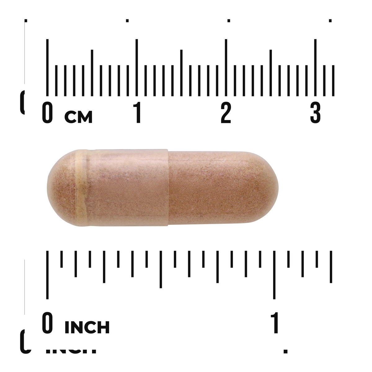 SWR080 | Brown capsule shown with size ruler in inches and centimeters
