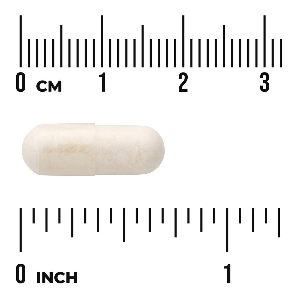 SWU861 | White capsule with centimeter and inch rulers for size reference - Thumbnail