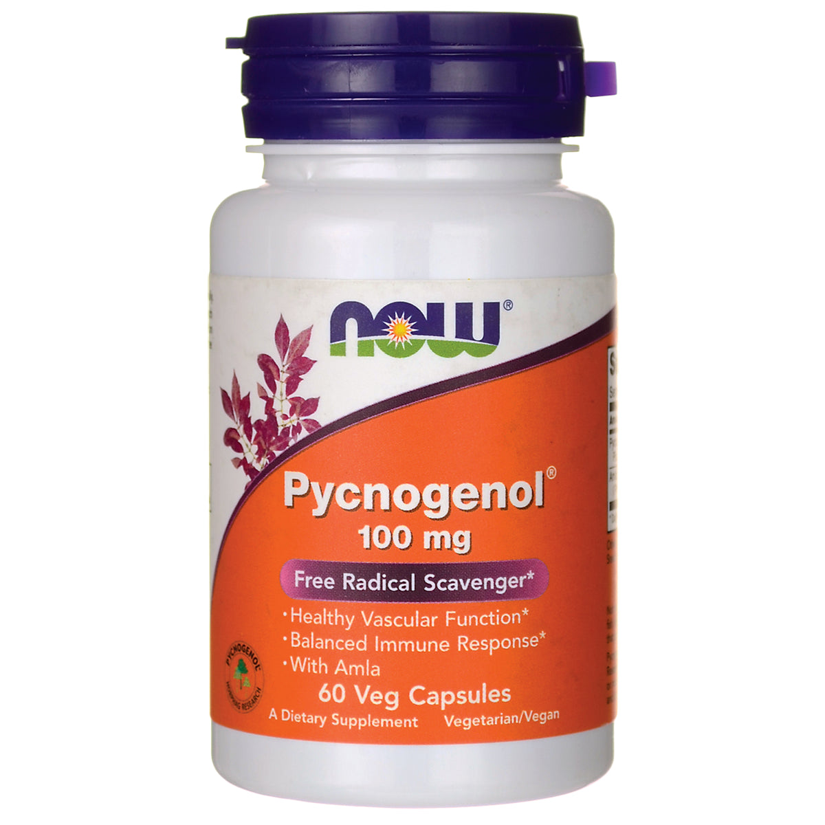 NWF984 | NOW Pycnogenol 100 mg white bottle with orange label, 60 veg capsules