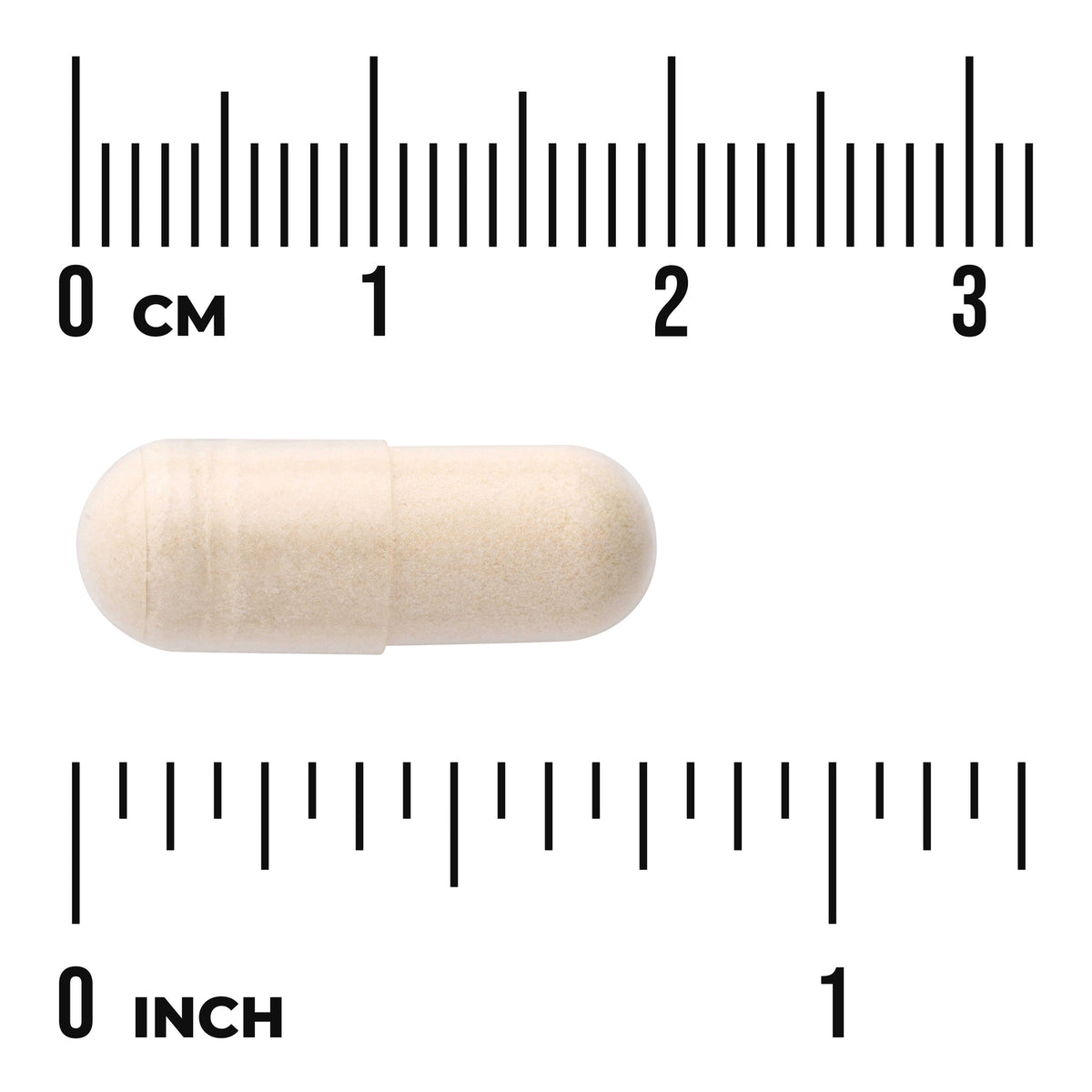 SWU445 | Beige capsule shown next to centimeter and inch rulers to indicate size