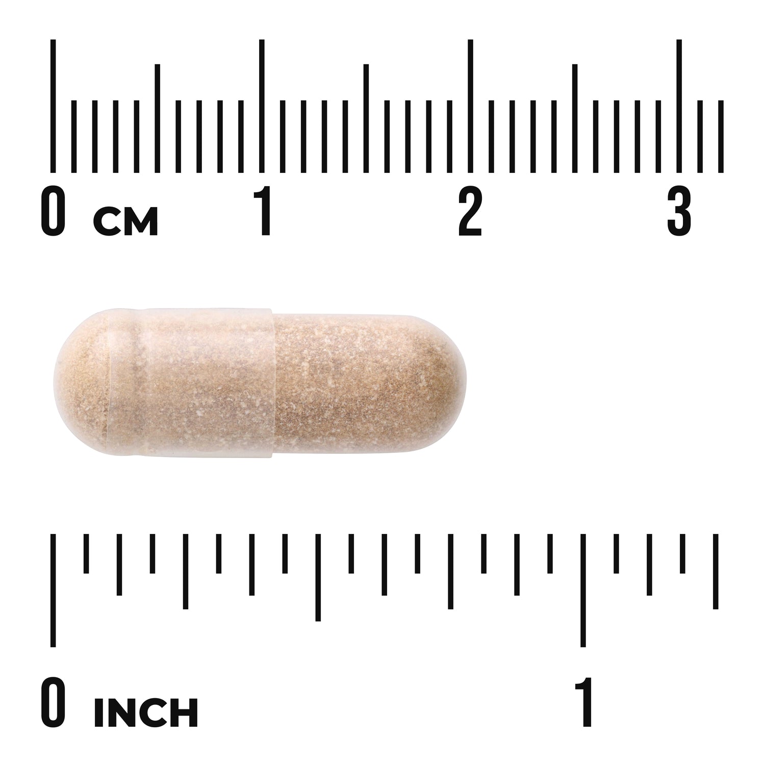 SW1226 | Brown capsule with size reference in inches and centimeters