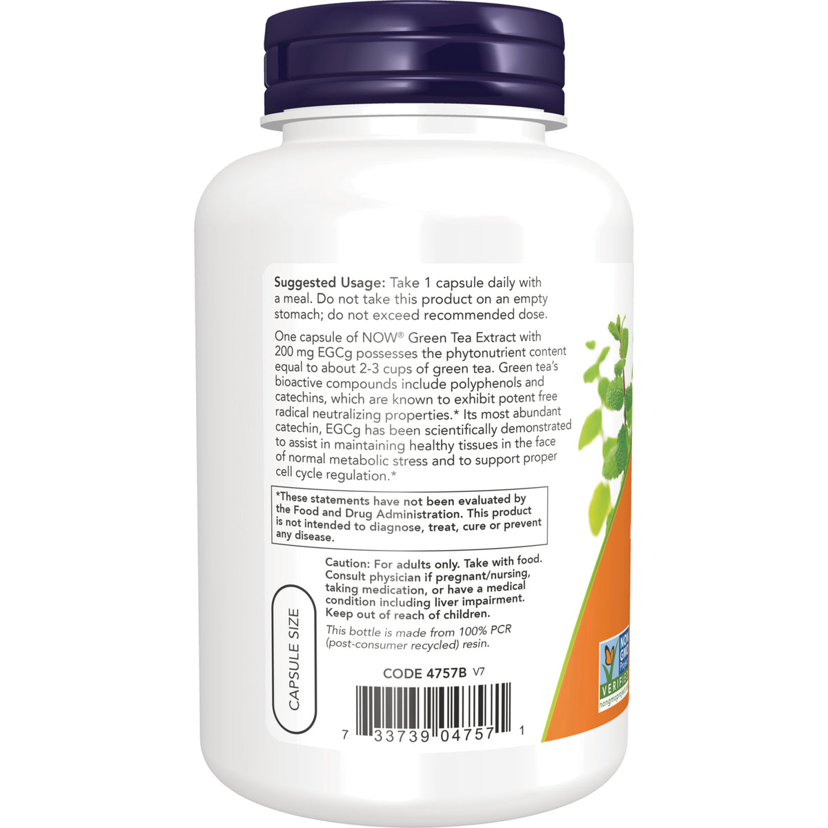 NWF240 | Back label of white supplement bottle showing suggested usage, cautions, capsule size graphic and barcode