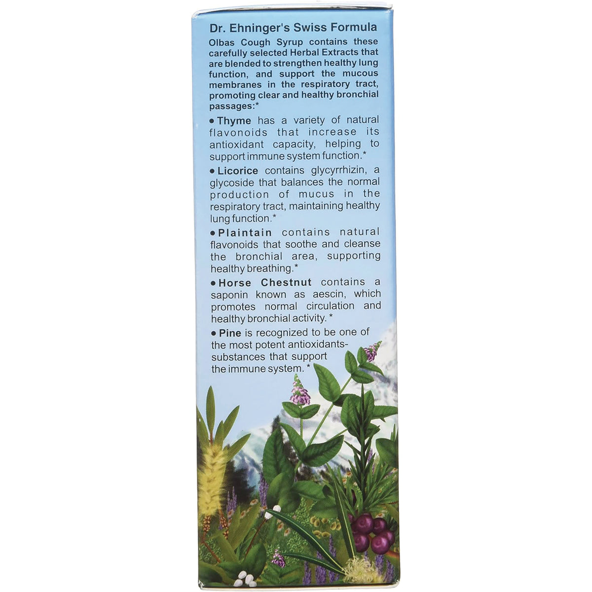 OLB003 | product infographic panel listing herbal extracts for Olbas Cough Syrup with thyme, licorice, plantain and botanical illustration