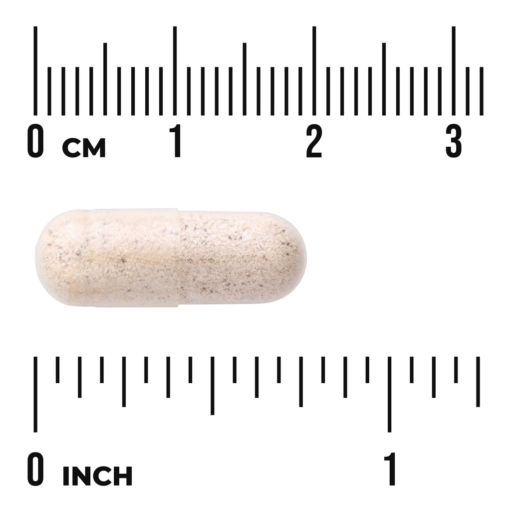 SW980 | Powder-filled capsule shown with metric and inch rulers, 03 cm and 01 inch - Thumbnail