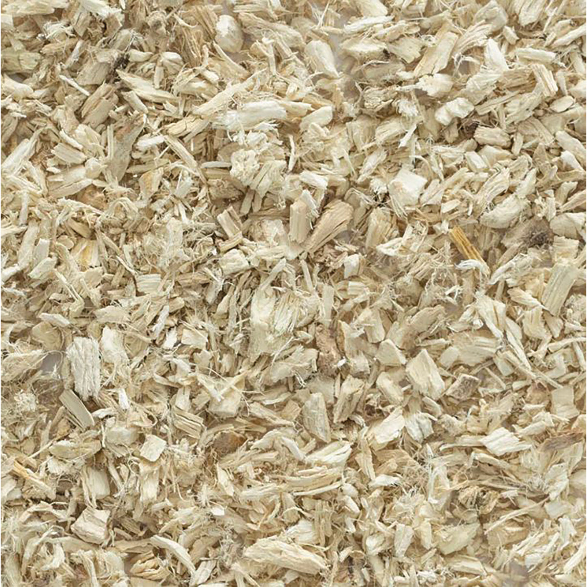 FNP386 | close-up of light beige wood shavings and shredded wood fibers