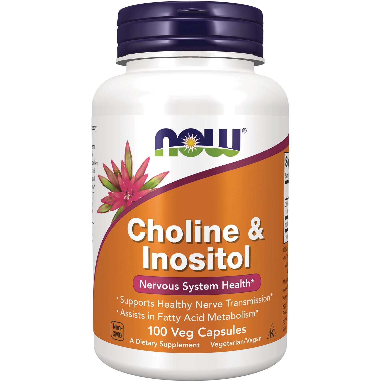NWF866 | NOW Choline & Inositol supplement bottle, orange label, 100 veg capsules, Nervous System Health