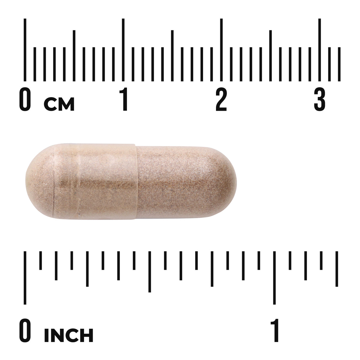 SWU1057 | Beige supplement capsule shown next to centimeter and inch rulers for size reference