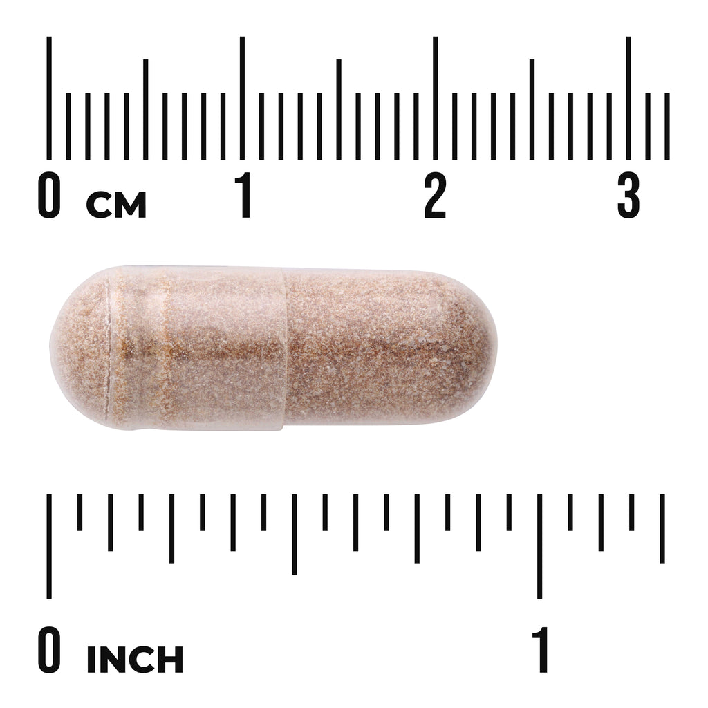 SWU1045 | Brown powder-filled clear capsule shown against centimeter and inch rulers to indicate size - Thumbnail