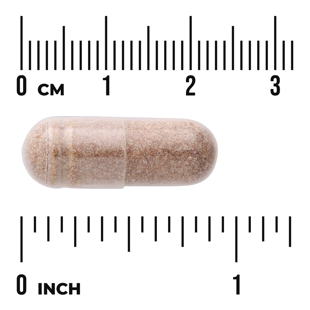 SWU1045 | Brown powder-filled clear capsule shown against centimeter and inch rulers to indicate size