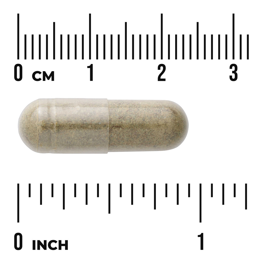 SW1112 | Brown capsule shown with cm and inch rulers for size reference - Thumbnail