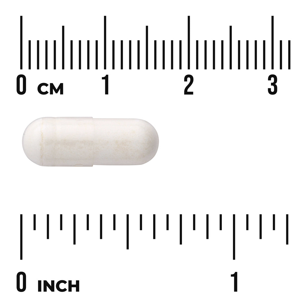 SW1030 | White capsule with size reference rulers in cm and inches - Thumbnail