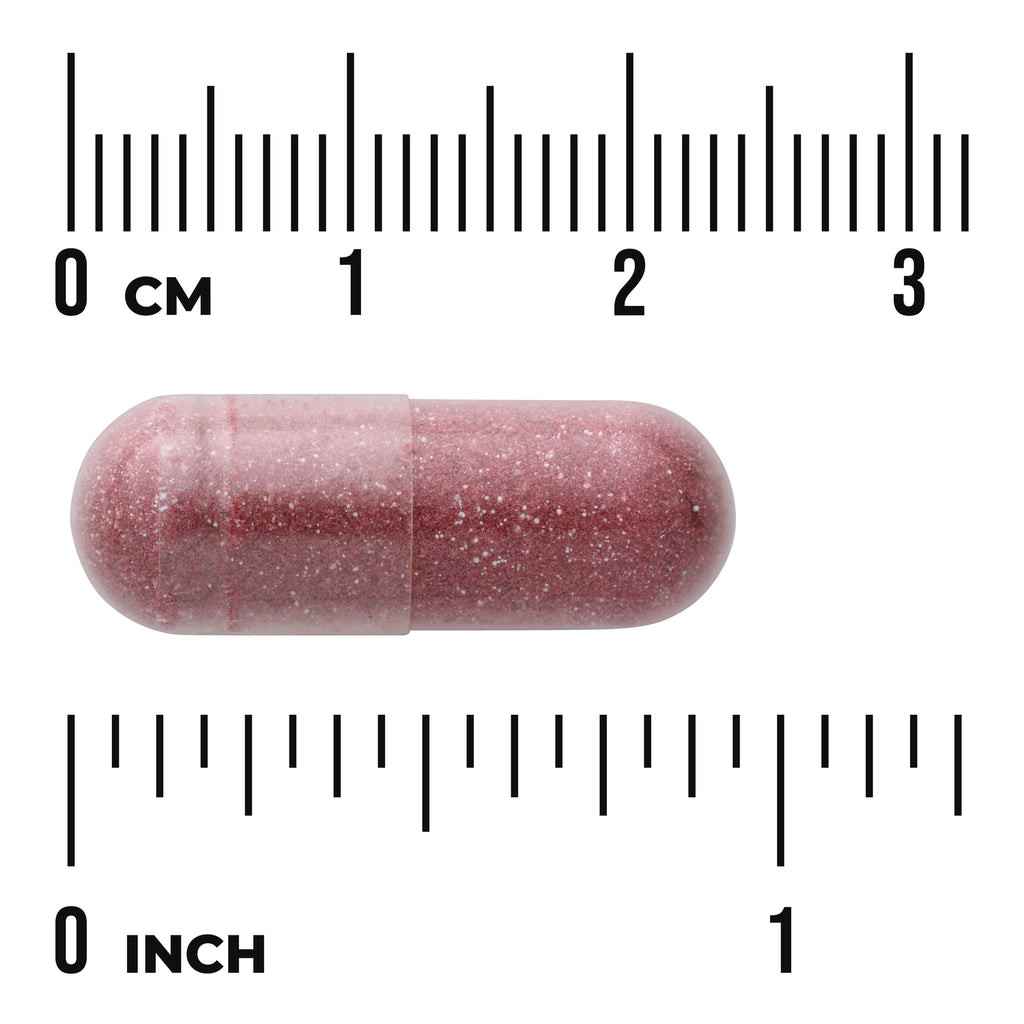 SWU522 | Burgundy capsule shown with cm and inch rulers for size reference - Thumbnail
