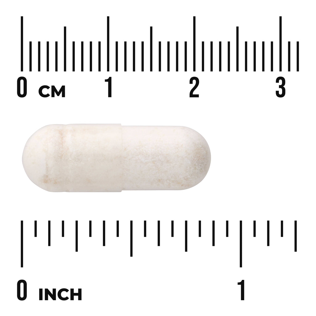 SWA037 | White two-piece capsule on metric and inch rulers showing roughly 2.5 cm (1 in) - Thumbnail