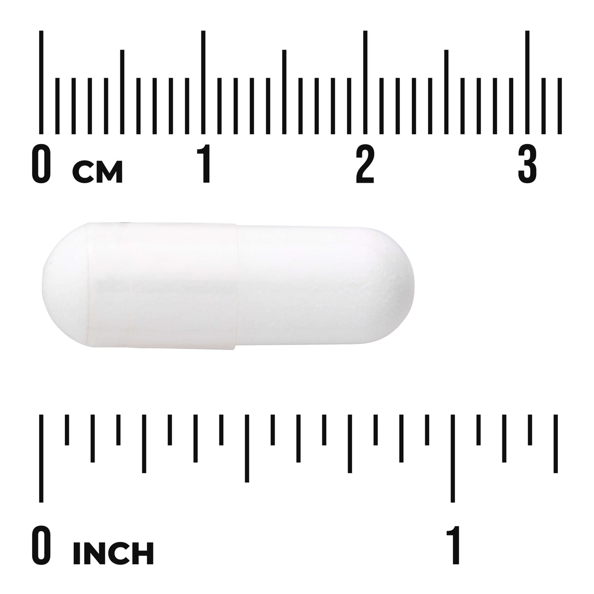 SWA039 | White two-piece capsule centered between centimeter and inch rulers to show size