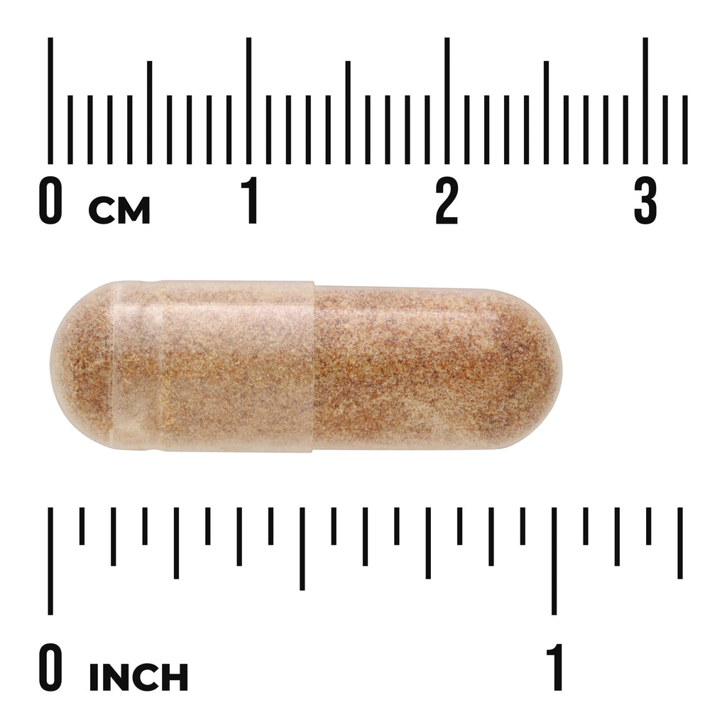 SWU1043 | clear capsule filled with brown powder placed on rulers showing centimeters and inches - Thumbnail