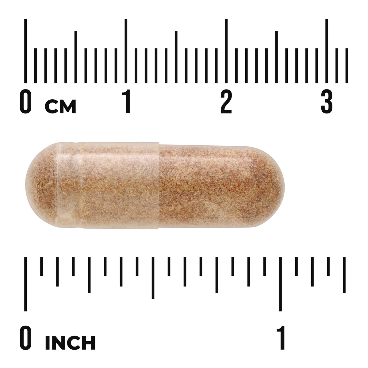 SWU1043 | clear capsule filled with brown powder placed on rulers showing centimeters and inches
