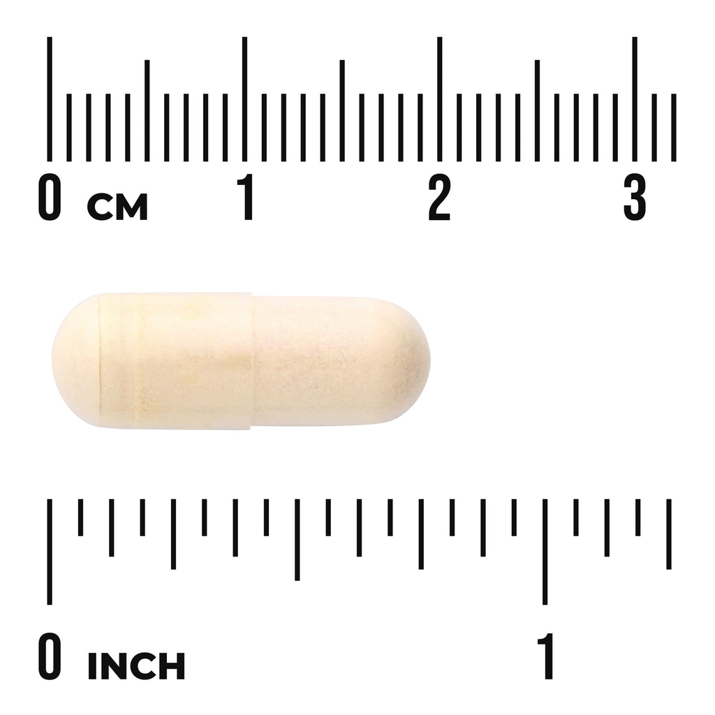 SWU315 | Beige two-piece capsule shown next to rulers labeled cm and inch to indicate size - Thumbnail