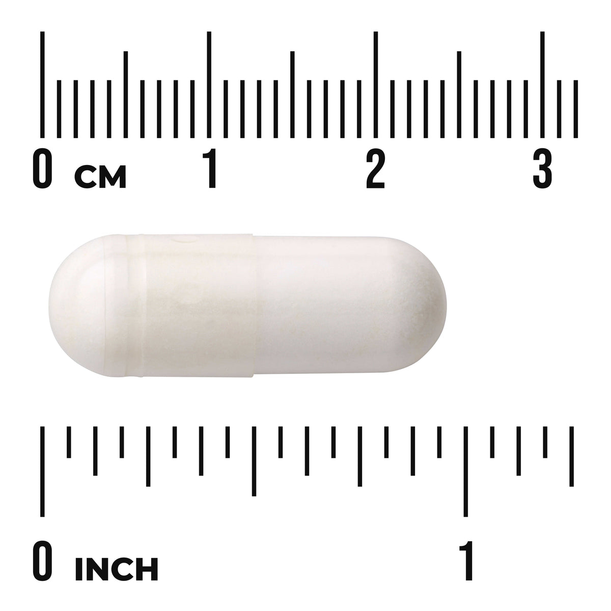 SW065 | White capsule displayed on centimeter and inch rulers for size reference