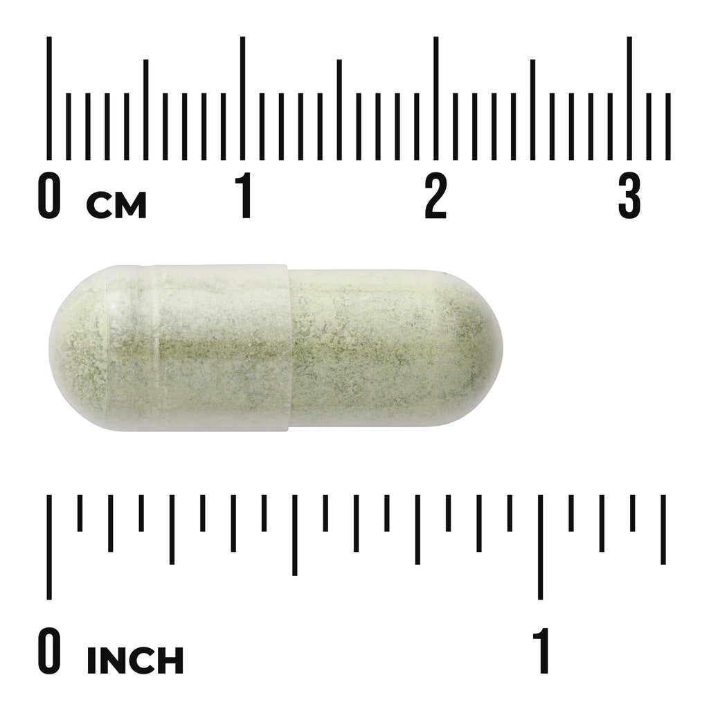 SWR087 | clear capsule filled with green powder shown against rulers labeled CM and INCH to indicate size - Thumbnail
