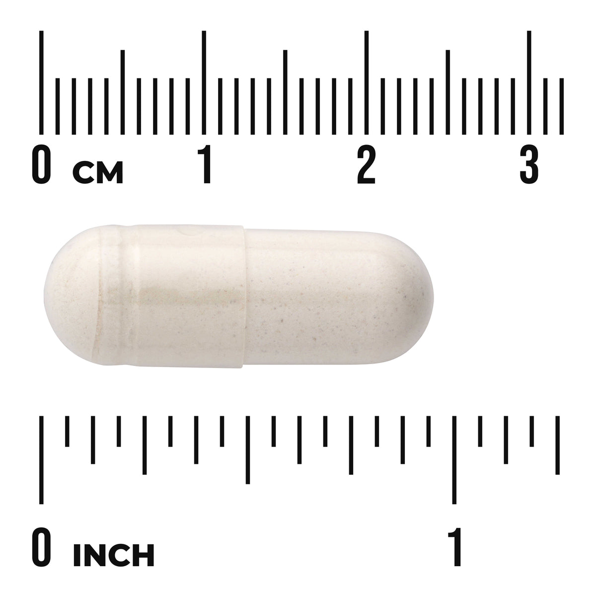 SWH173 | Size reference of an off-white capsule with rulers labeled 03 cm and 01 inch