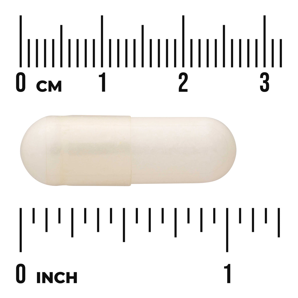 SWU798 | White capsule displayed with centimeter and inch rulers indicating length about 2.5 cm - Thumbnail