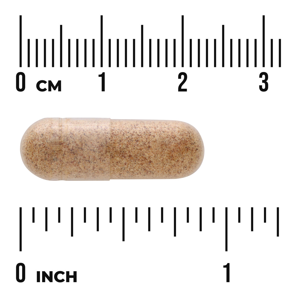 SW1059 | Brown capsule with centimeter and inch rulers for size reference - Thumbnail