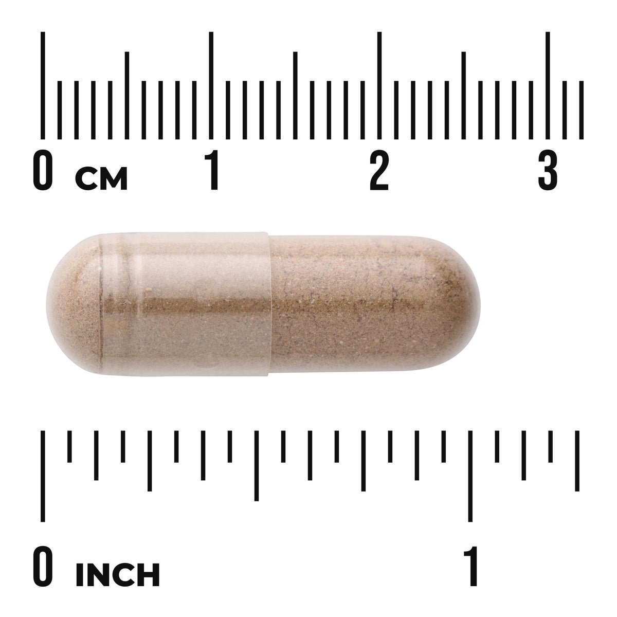 SW1881 | Capsule with brown powder shown next to cm and inch rulers for size reference
