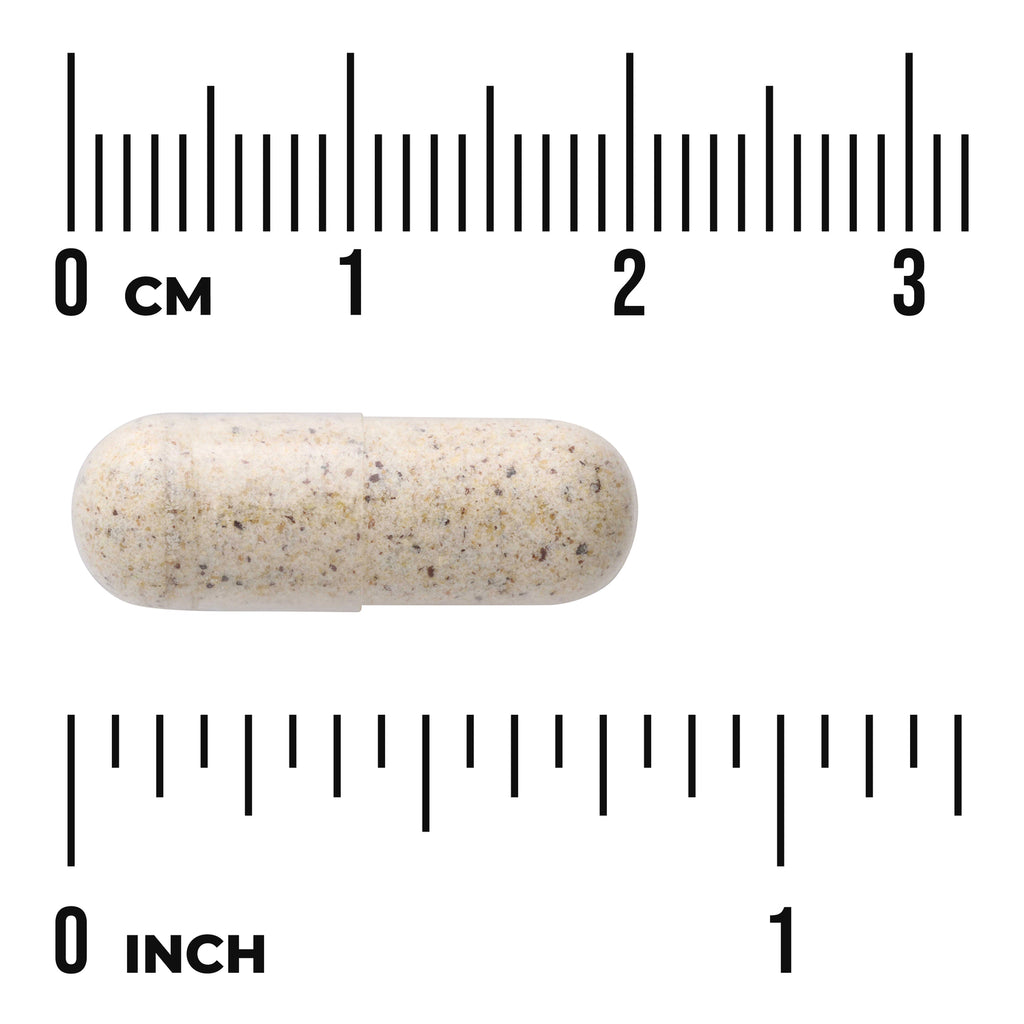 SWR048 | Speckled beige capsule on rulers marked cm and inch to illustrate size - Thumbnail