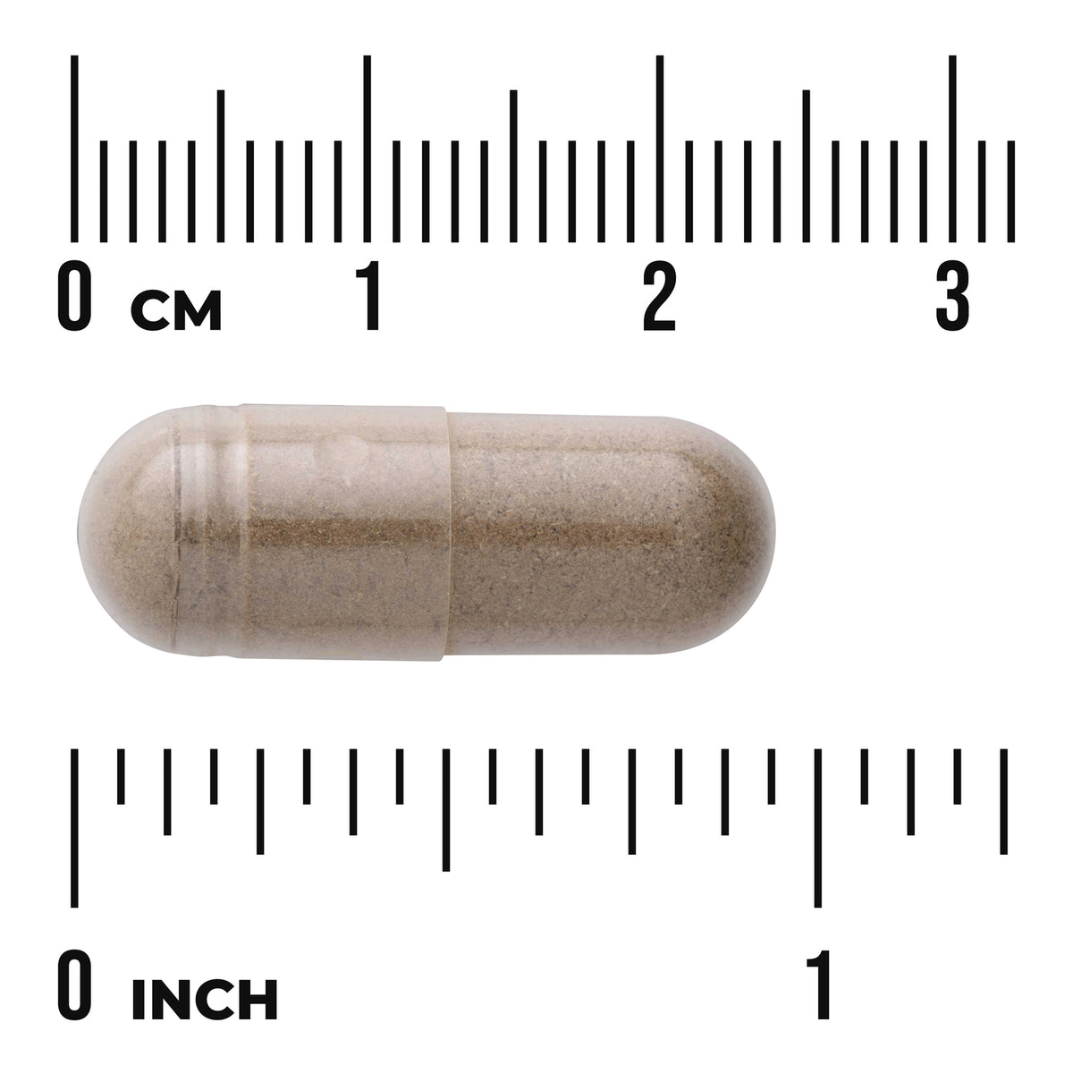 SW1300 | Clear capsule filled with brown powder placed between centimeter and inch rulers to show scale