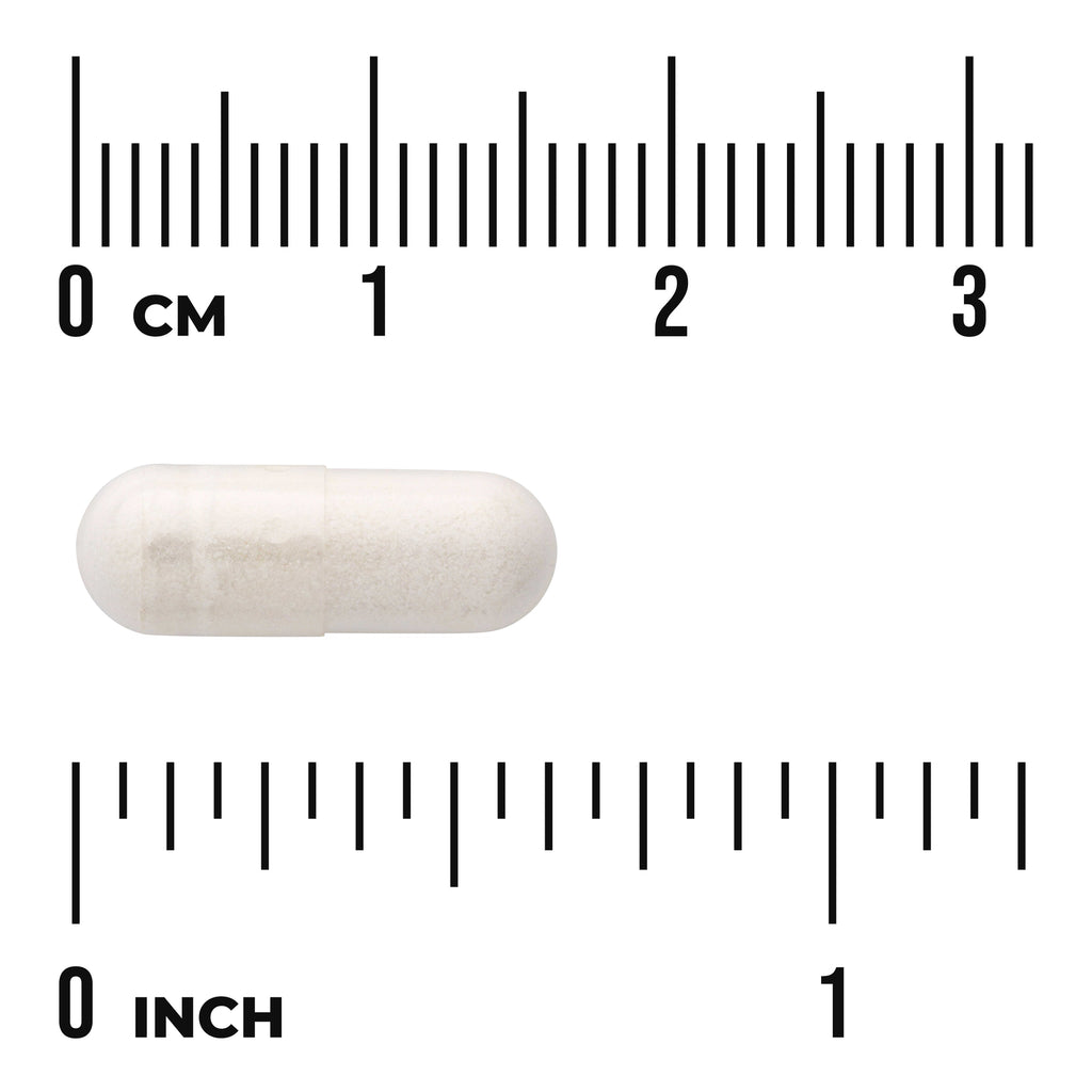 SWU419 | White capsule photographed on centimeter and inch rulers to show size reference - Thumbnail