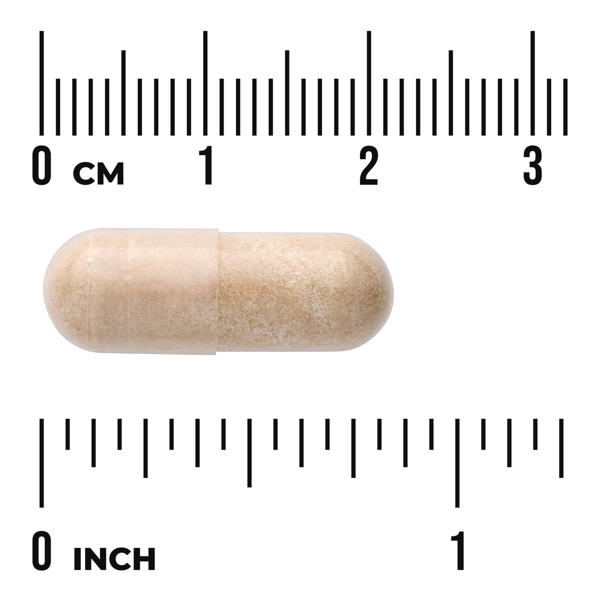 SWH210 | Beige capsule with size reference rulers in centimeters and inches