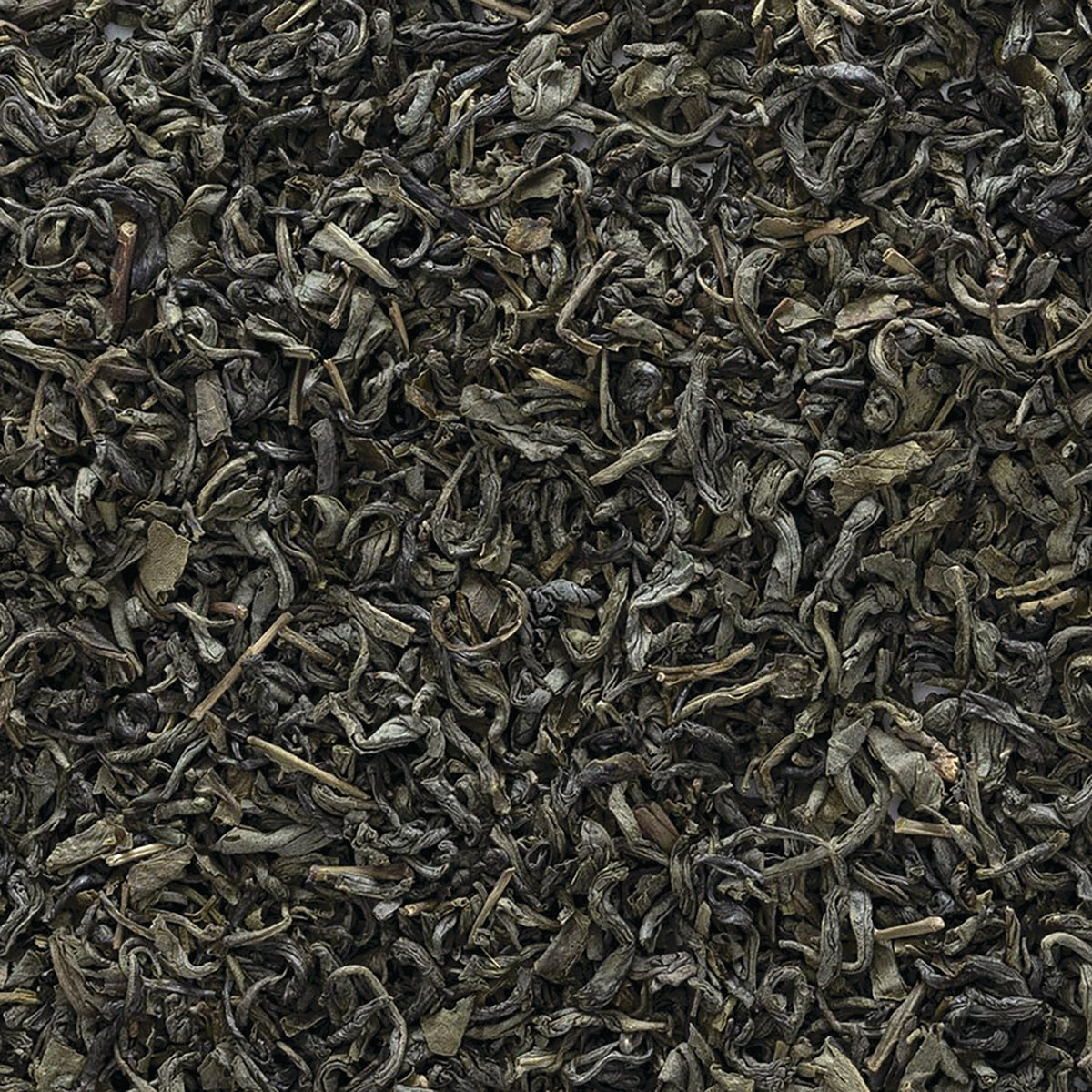 FNP028 | loose dried green tea leaves close-up texture