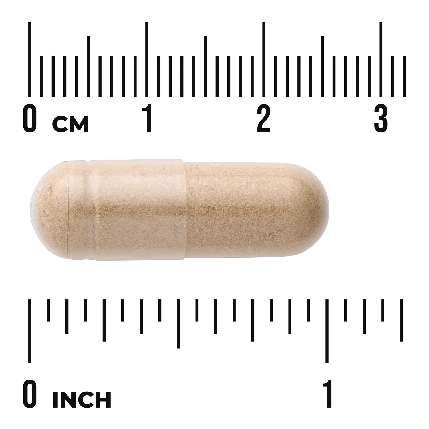 SWH012 | Beige capsule shown to scale with cm and inch rulers