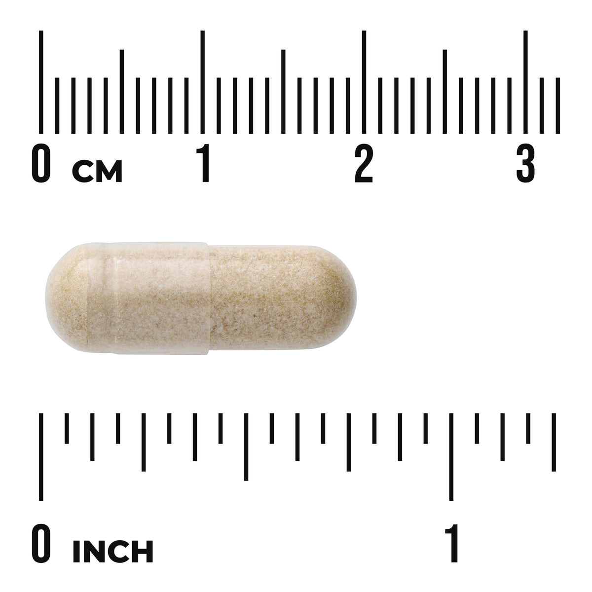 SW1755 | Clear capsule filled with beige powder shown on centimeter and inch rulers to illustrate size