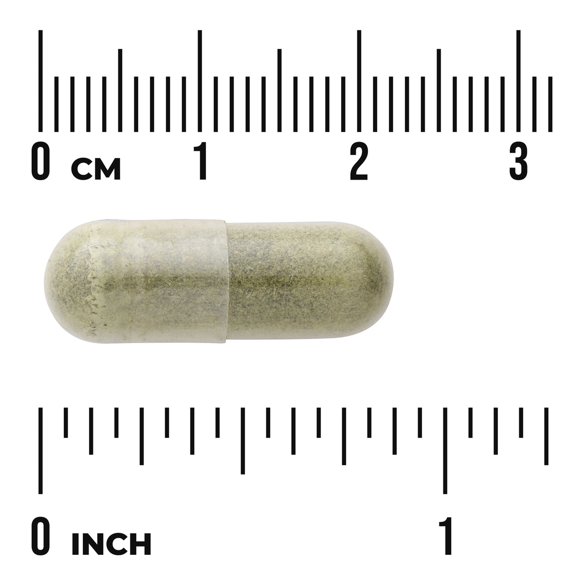SW1301 | Green herbal capsule on white background with metric and inch rulers showing size