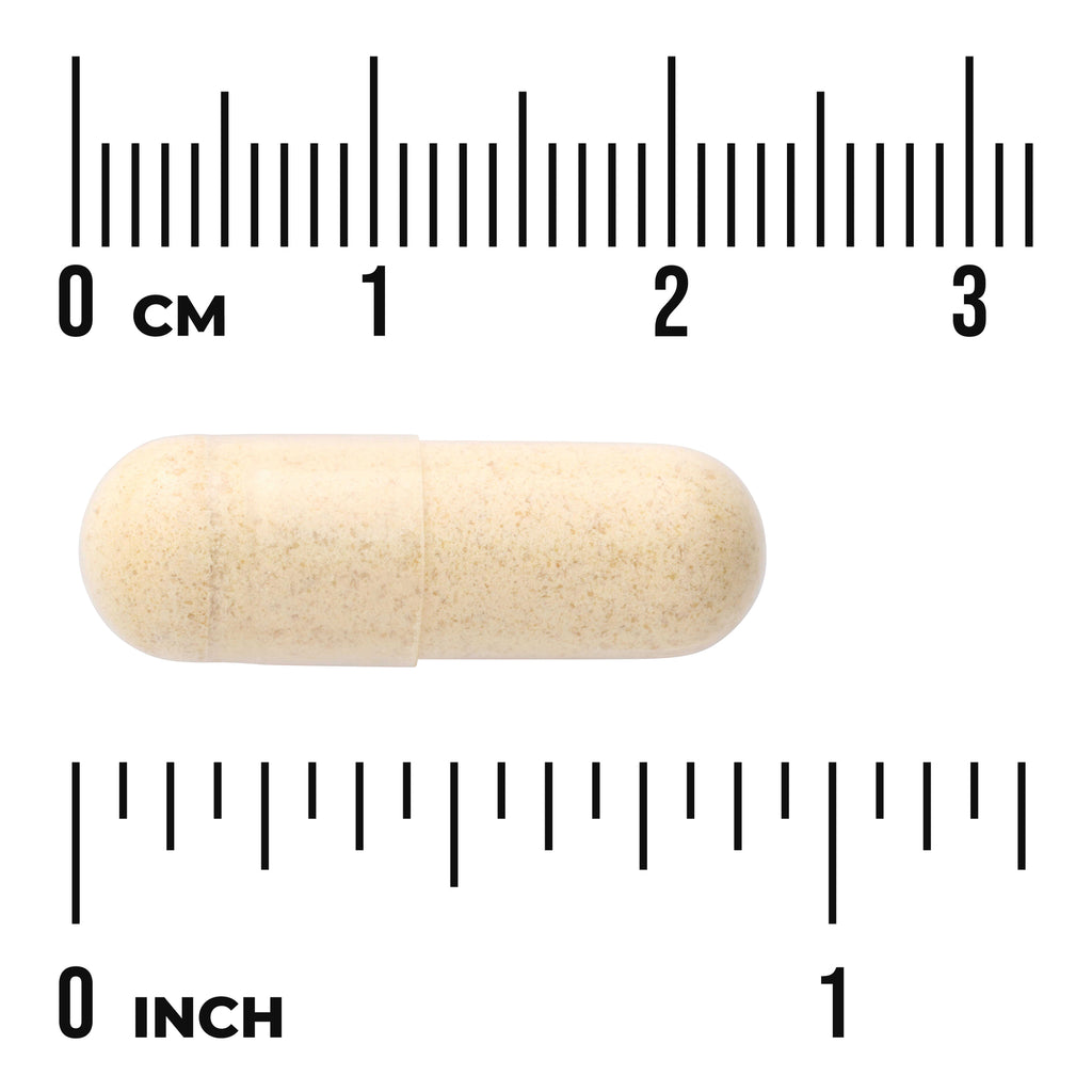 SW1262 | Beige capsule shown next to rulers marked 03 cm and 01 inch to indicate size - Thumbnail